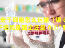银宏干细胞怎么运输（银 💐 宏干细胞是国企还是 🐳 私企）